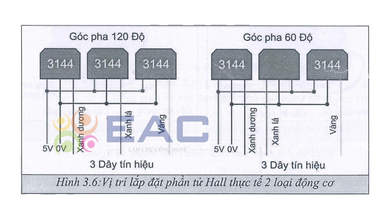 Cụm dây động cơ không chổi than
