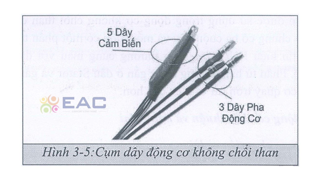 Cụm dây động cơ không chổi than