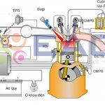 Hệ thống TDI (TOYOTA Direct Ignition System)