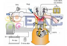 Hệ thống TDI (TOYOTA Direct Ignition System)